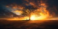 Silhouette of lonely human under old majestic tree at evening meadow during incredible sunset with rays of golden sun Royalty Free Stock Photo