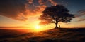 Silhouette of lonely human under old majestic tree at evening meadow during incredible sunset with rays of golden sun Royalty Free Stock Photo