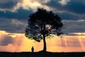 Silhouette of lonely human under old majestic tree Royalty Free Stock Photo