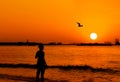 A Silhouette Of A Lonely Woman Contemplating The Sunset At Seaside While A Seagull Flying Over The Orange Sky