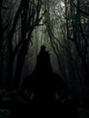 Silhouette of Lord Shiva in dense forest