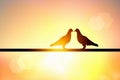 Silhouette of love bird in pastel background