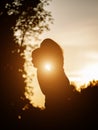 Silhouette of lovers embracing on the background of the sunset