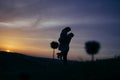 Silhouette of a loving couple kissing in the sunset Royalty Free Stock Photo