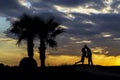 Silhouette of loving couple and palm trees. Royalty Free Stock Photo