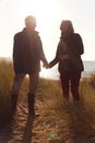 Silhouette Of Loving Senior Couple Holding Hands As They Walk Along Coast Path Against Flaring Sun Royalty Free Stock Photo