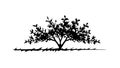 Silhouette of a Lush Rounded Deciduous Tree, vector design Generative AI Royalty Free Stock Photo
