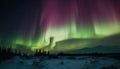 Silhouette of majestic trees illuminated by vibrant aurora polaris generated by AI