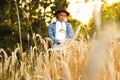 Silhouette of man agronomist farmer in golden wheat field. Farmer in a field examining wheat crop. Blurred. Out of focus Royalty Free Stock Photo