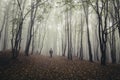 Silhouette of man in autumn forest Royalty Free Stock Photo