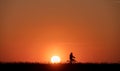 Silhouette of man on bike on grass on sunset with back lite and sun on backgound Royalty Free Stock Photo