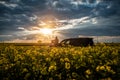 Silhouette of man and car in blooming field Royalty Free Stock Photo