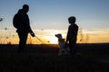 silhouette of a man, a child and a dog walking in a field at sunset, relaxing with a pet in nature Royalty Free Stock Photo