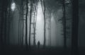 Silhouette of man in dark haunted scary forest on Halloween night Royalty Free Stock Photo