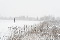 Silhouette of a man in the distance covered with snow