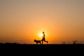 Silhouette man and dog jogging on the sunset background Royalty Free Stock Photo