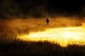 Silhouette of Man Flyfishing Fishing in River Golden Sunlight Royalty Free Stock Photo