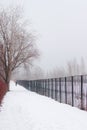 A silhouette of a man going towards the camera in the perspective. A tall leafless tree in the mist and a black fence going to the