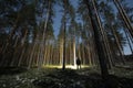 Silhouette of a man with a headlamp in a night winter pine forest Royalty Free Stock Photo