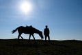 Silhouette of a man and a horse against the sky. Royalty Free Stock Photo