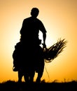 Silhouette of a man on a horse at sunset Royalty Free Stock Photo