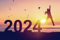 Silhouette man jumping and birds flying with number like 2024 at tropical beach on sunset sky abstract background. Happy new year Royalty Free Stock Photo