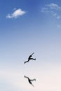 Silhouette of man jumping under blue sky Royalty Free Stock Photo