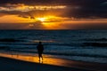 Silhouette of a man on Orange beach in Alabama, USA during sunset Royalty Free Stock Photo