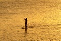 Silhouette of man paddleboarding Royalty Free Stock Photo