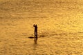 Silhouette of man paddleboarding