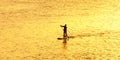 Silhouette of man paddleboarding