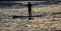 Silhouette of man paddling on the paddle board