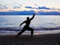 Silhouette of a man practises wing chun on the beach Royalty Free Stock Photo