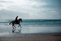 Silhouette of a Man Riding a Horse Against the Sunlight on a Beach Royalty Free Stock Photo