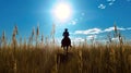 a silhouette of man riding a spotted horse through a field of rye, blue sky and sunny day. Generative AI