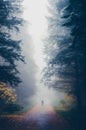 Silhouette of a man on the road in the fog in the autumn forest Royalty Free Stock Photo