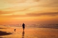 Silhouette of man running with dog in the beach in sunset time Royalty Free Stock Photo