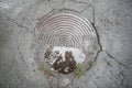 Silhouette of a man showing a like in a reflection in a puddle over an old manhole. Neglected hatch for underground
