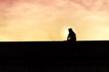 Silhouette of man sitting bridge