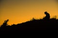 Silhouette man spread hand on top of a mountain enjoying sunset.