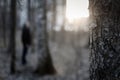silhouette of man in spring forest Royalty Free Stock Photo