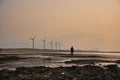 Silhouette of a man  standing on a lake shore during sunset, with the wind turbines Royalty Free Stock Photo