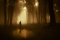 Silhouette of man standing near a pond in a dark creepy forest with fog in autumn Royalty Free Stock Photo