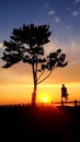 The silhouette of a man standing watching the beautiful sunset at the beach. Royalty Free Stock Photo