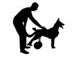 Silhouette Man strokes his paralyzed dog in a wheelchair.