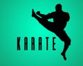 The silhouette of Man training karate Royalty Free Stock Photo
