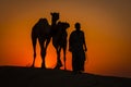 Silhouette of man and two camels at sunset in Thar desert near Jaisalmer, Rajasthan, India Royalty Free Stock Photo
