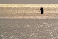 A Silhouette of a man wading in the ocean.