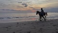 Silhouette of a man walking along the beach with his horse