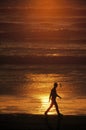 Silhouette of man walking on beach at sunset Royalty Free Stock Photo